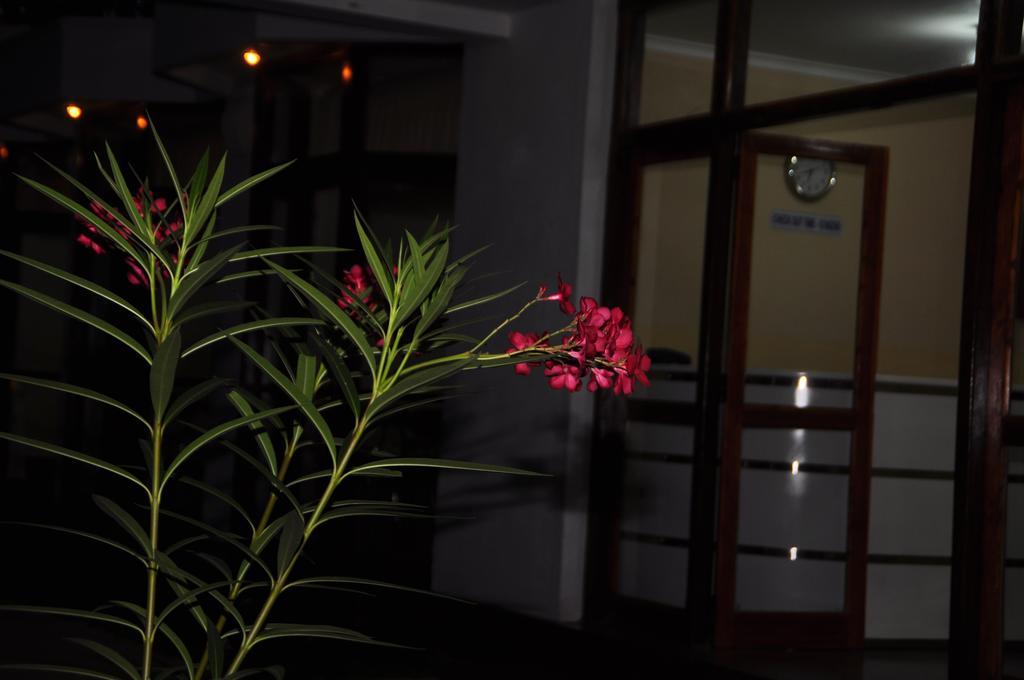 Melbourne Tourist Rest Hotell Anuradhapura Eksteriør bilde